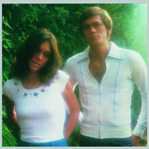 The carpenters horizon - carpenters,